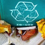green reuse and recycle fabric bag with fall leaves laying in front